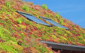 Brown Candover living roof systems